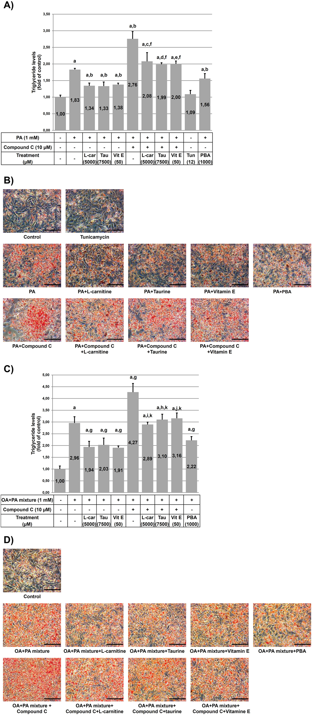 Vorschaubild aus dem Artikel