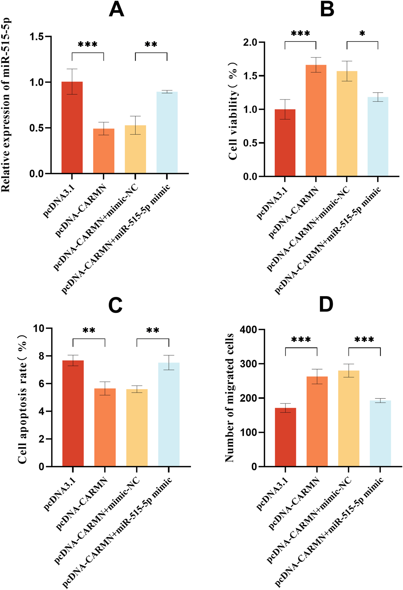 Figure 4:
miR-515-5p partially counteracts the effects of sh-CARMN on cellular function. (A) miR-515-5p level was assessed by qRT-PCR after sh-CARMN and miR-515-5p inhibitor treatment. (B) Cell viability was assessed using the CCK-8 assay. (C) Cell apoptosis was quantified by the annexin V/PI assay. (D) The migration capability of cells was assessed by the transwell assay. *p<0.05, **p<0.01, ***p<0.001.