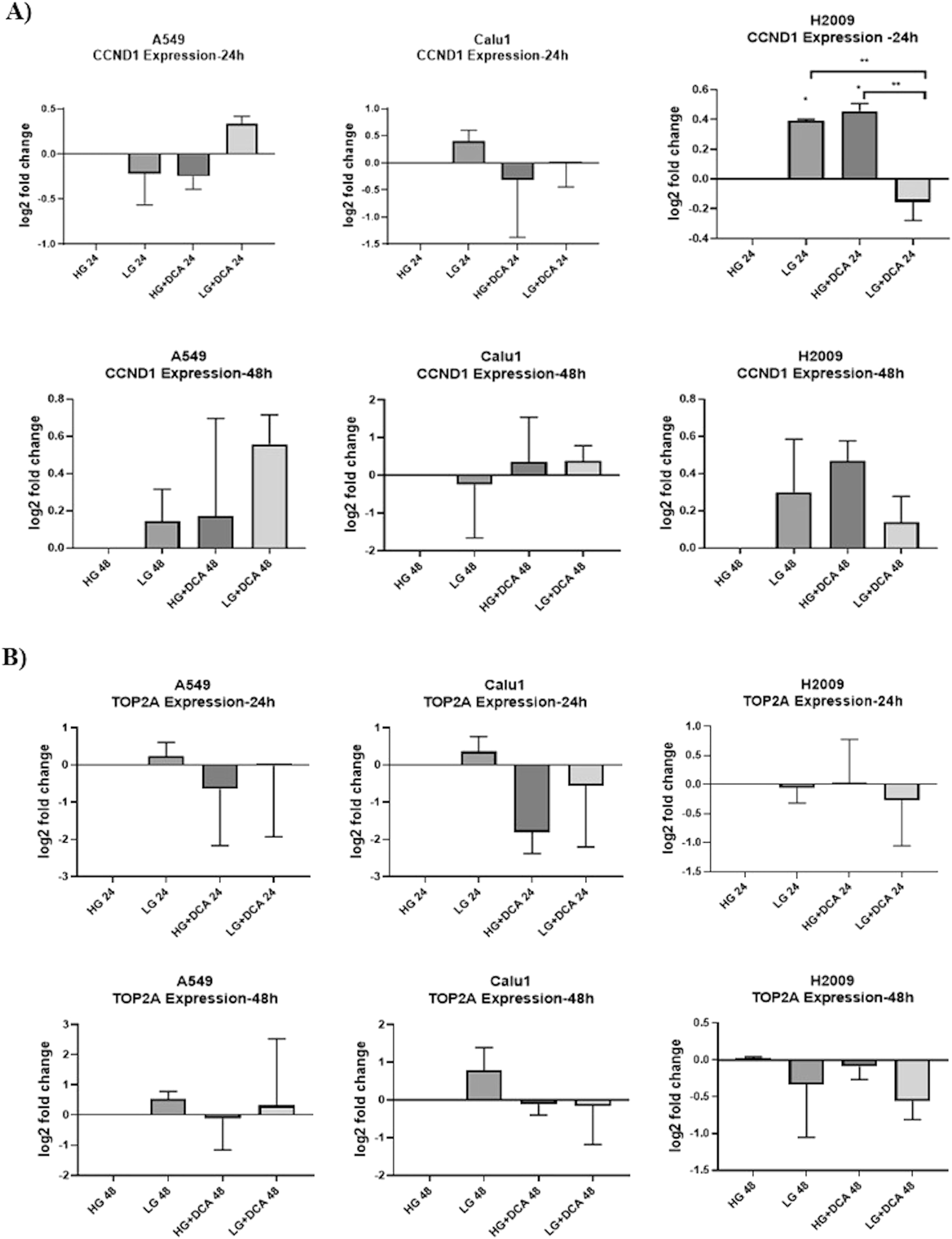 Figure 2: 
The effects of 30 mM DCA on CCND1 (A) and TOP2A (B) expression under different glucose concentrations at 24 and 48 h in KRAS mutant cells. ** p<0.01, * p<0.05.
