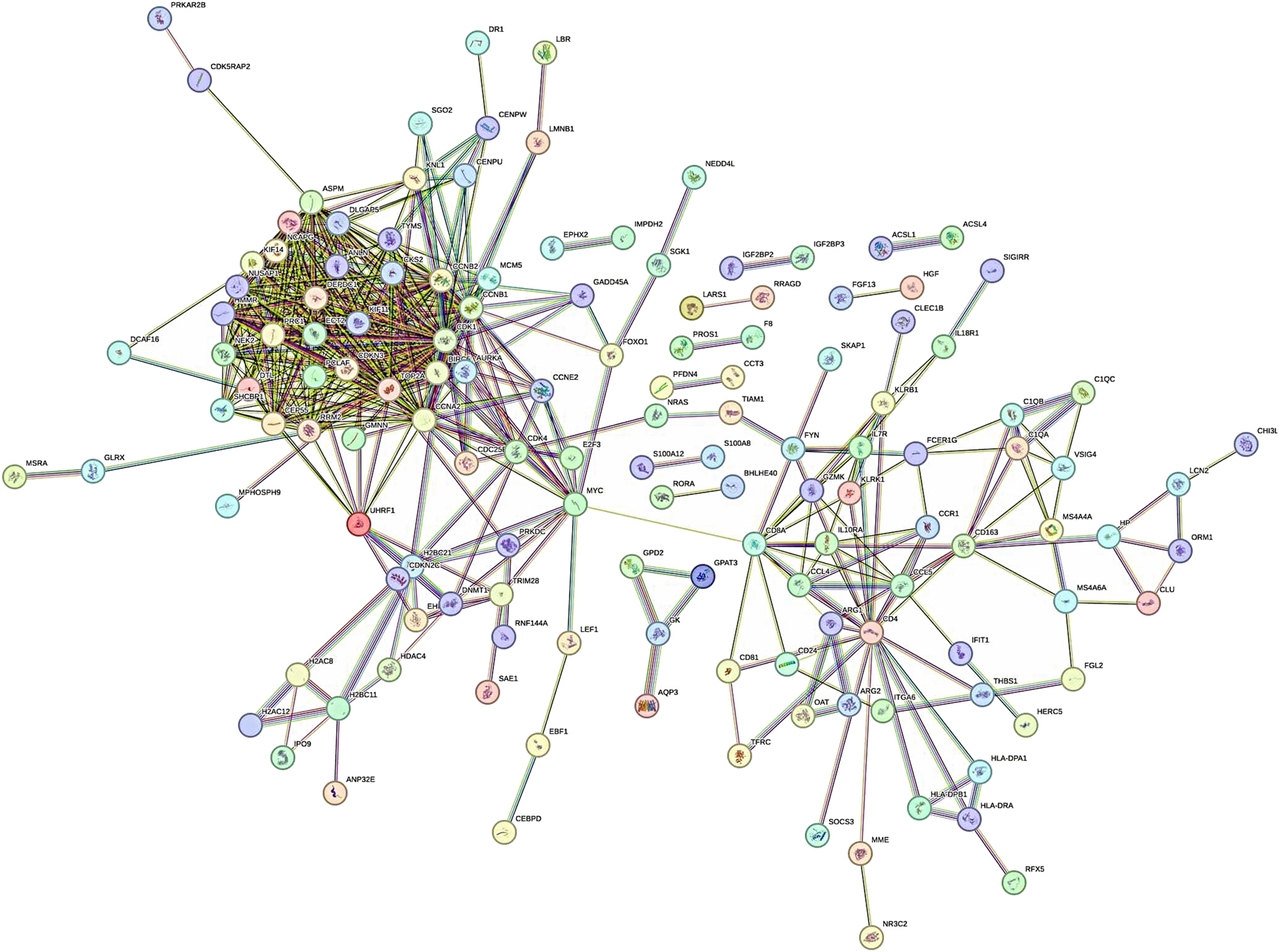 Figure 2: 
The PPI network of shared DEGs in HCC and sepsis.
