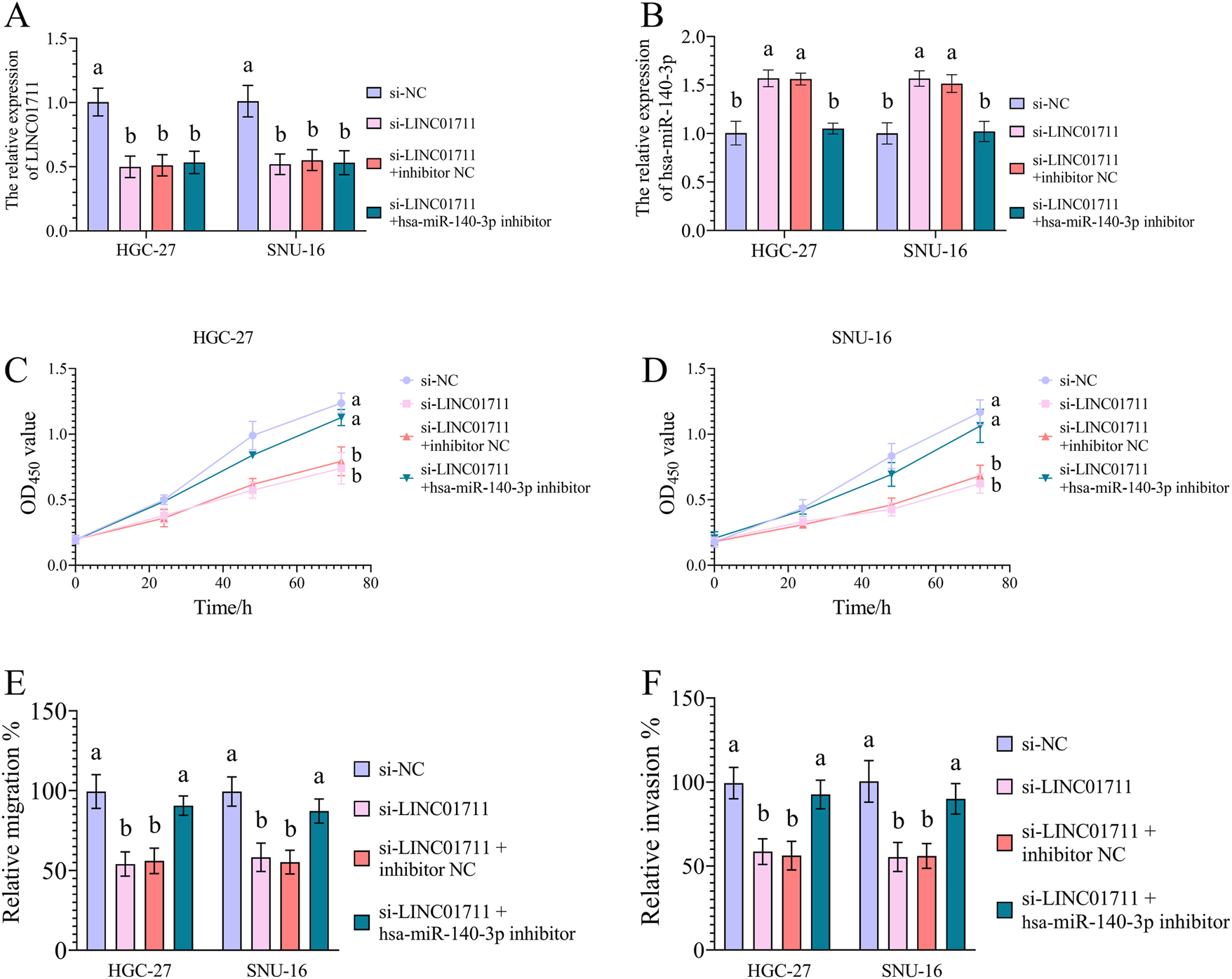 Figure 3: 
The effect of LINC01711/hsa-miR-140-3p axis on GC cell activities. A, the rescue experiments showed that hsa-miR-140-3p could not regulate LINC01711 expression in GC cells. B, the rescue experiments showed that LINC01711 downregulated hsa-miR-140-3p expression in GC cells. C–F, the rescue experiments showed that LINC01711 promoted GC cell proliferation (C, D), migration (E), and invasion (F) by downregulating hsa-miR-140-3p. Different letters (a, b) represent significant differences (p < 0.05) from one-way ANOVA with Tukey’s post-hoc test or the kruskal–Wallis test with the Dunnett test.
