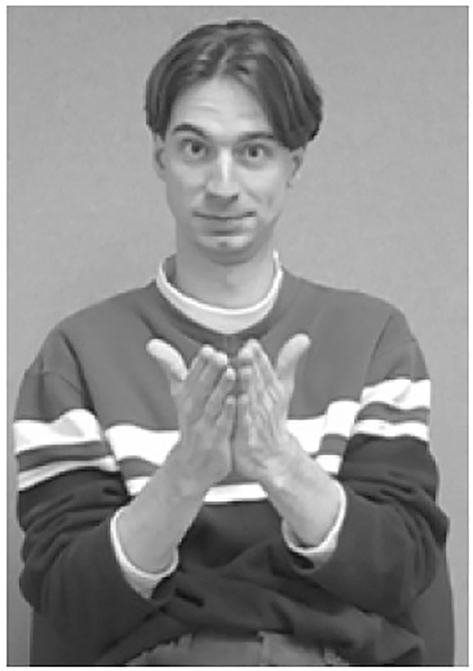 Figure 1:
BOOK in ASL (Taub 2001).