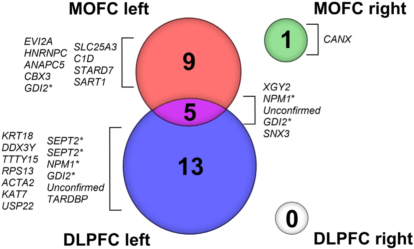 Figure 2 Representation of a number of differentially expressed genes between schizophrenia and normal control brains using Venn diagram. DLPFC, dorsolateral prefrontal cortex, MOFC, medial orbitofrontal cortex. Genes marked with asterisk are different splicing variants of the same gene.