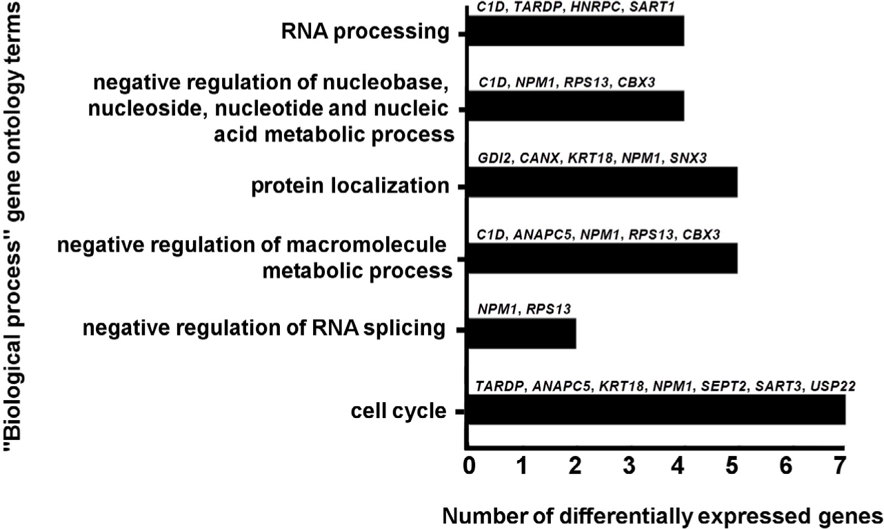 Figure 3 Schematic representation of the number of differentially expressed genes with respect to gene ontology terms.