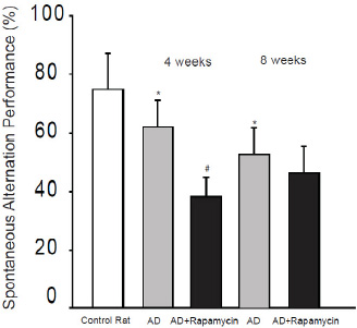 Figure 3 Aβ1-42 was infused intracerebroventricularly to induce AD and its effects on spontaneous alternation performance in rats were determined. The learning performance was examined at fourth week and at eighth week after Aβ1-42. *P < 0.05, AD rats (n = 20) vs. control rats (n = 15); and # P < 0.05, AD rats with rapamycin (n = 18) vs. AD rats (n = 20).