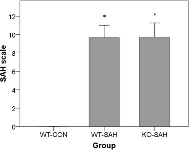 Figure 1A The SAH scale is used to categorize the severity of SAH depending on the amount of blood lost. The
severity of SAH is compared among the various experimental groups. WT-SAH and KO-SAH were significantly more severe in SAH as compared to the WT-CON group.