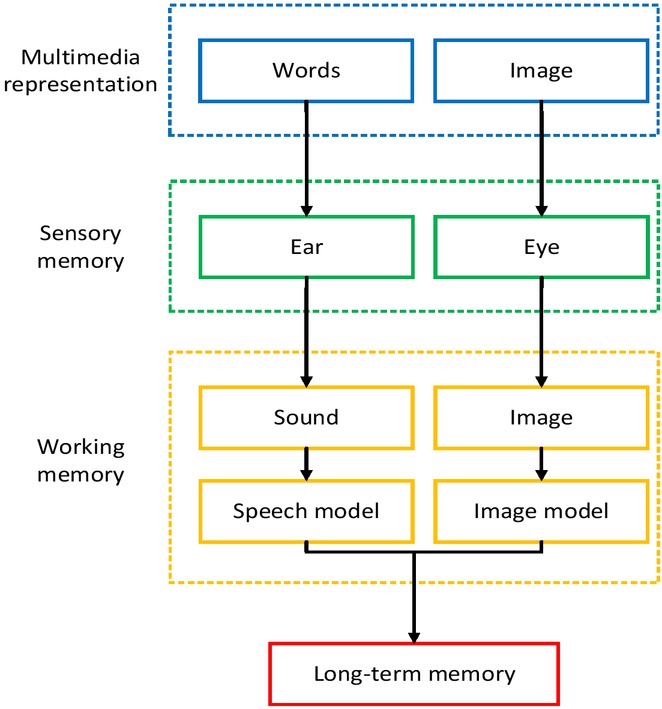 Figure 1 The cognitive theory model in news communication