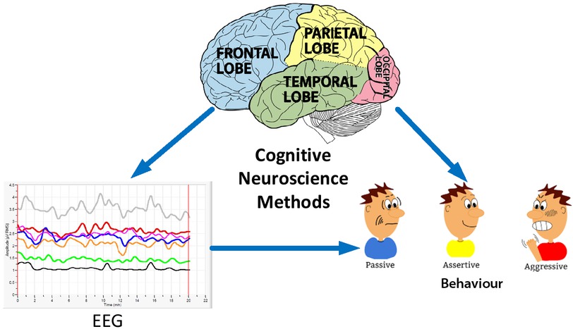 Figure 1 Cognitive Neuroscience Methods