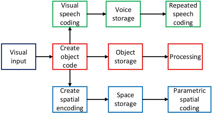 Figure 3 Working principles of cognitive neuroscience
