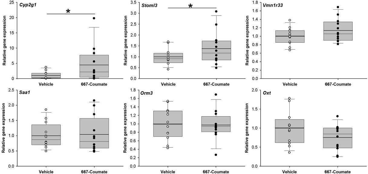 Figure 1 Comparison of gene expression in vehicle and 667-Coumate treated whole mouse brain by quantitative PCR. Boxes show interquartile range with median and mean (bold line) values, and whiskers represent 5% and 95% confidence intervals. *p<0.05.