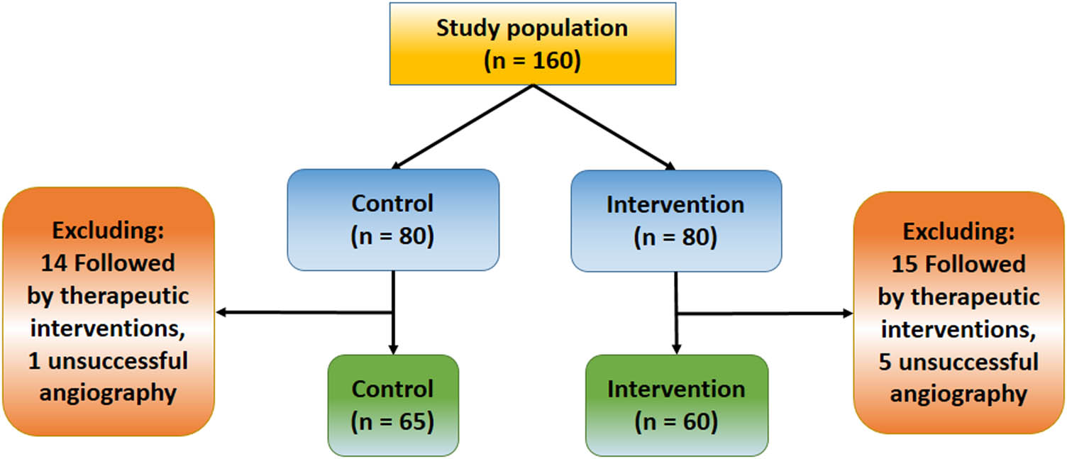 Figure 1
Participant flow chart of the study.