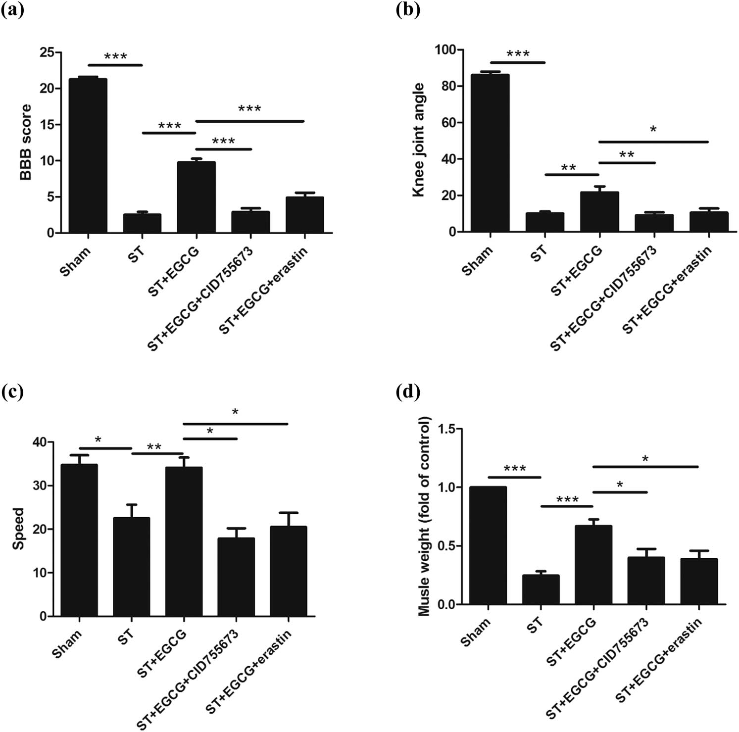 Figure 3 
            Effect of EGCG on CGNs and functional recovery in rats after complete ST. EGCG increased PKD1 phosphorylation and inhibited ferroptosis to promote functional recovery in rats, as indicated by (a) increased BBB score, (b) knee joint angle, (c) speed in the rotarod test, and (d) biceps femoris muscle weight. (*p < 0.05, **p < 0.01, ***p < 0.0001, n = 8.)
          