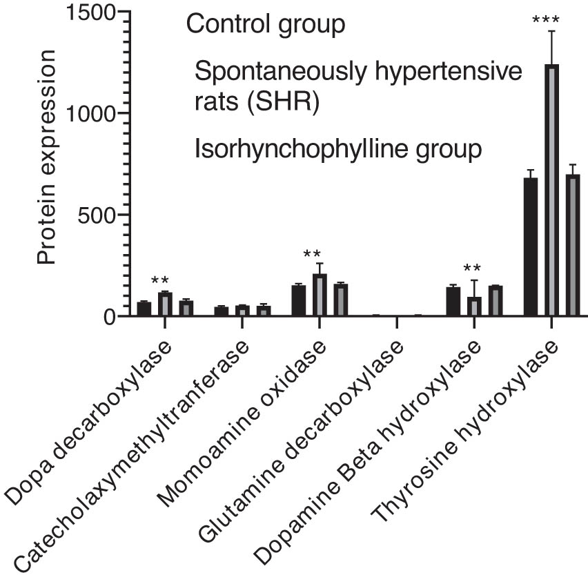 Figure 6
Validation of the diverse protein expressions in the hippocampus (n = 6). Data are expressed as mean ± SD (*
P < 0.05, **
P < 0.01 compared to the control group).