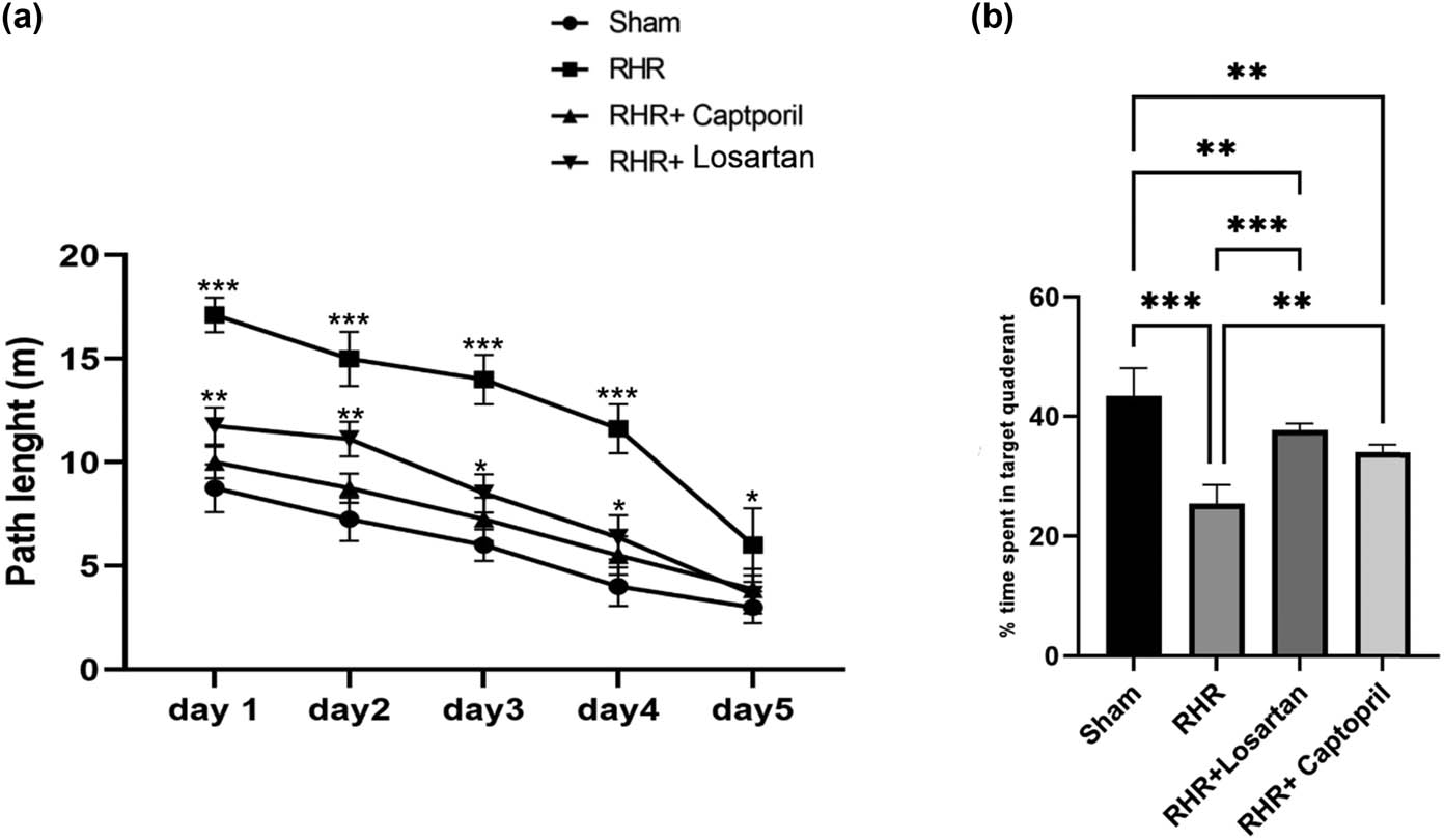 Figure 3
(a) Escape latency to reach the platform in each day during five training days or acquisition trials. The two-way ANOVA repeated-measure test followed by Tukey is used to analyze the data. (b) Time spent in target quadrant during the probe trial on day 6. In the probe-trial test, one-way ANOVA revealed that RHR rats spent a short time in the target quadrant compared to the sham group (P < 0.001). (Tukey pairwise multiple comparison test comparing percent search time in target quadrant versus each of the other quadrants after one-way ANOVA.) Losartan- and captopril-treated hypertensive groups spent more time in the target quadrant compared to the RHR group (P < 0.001). RHR, renal hypertensive rats; Sham, sham operated control; Asterisks indicate a significant difference from the sham (***P < 0.001, **P < 0.01, and *P < 0.05). Data are expressed as mean ± SEM (n = 8).