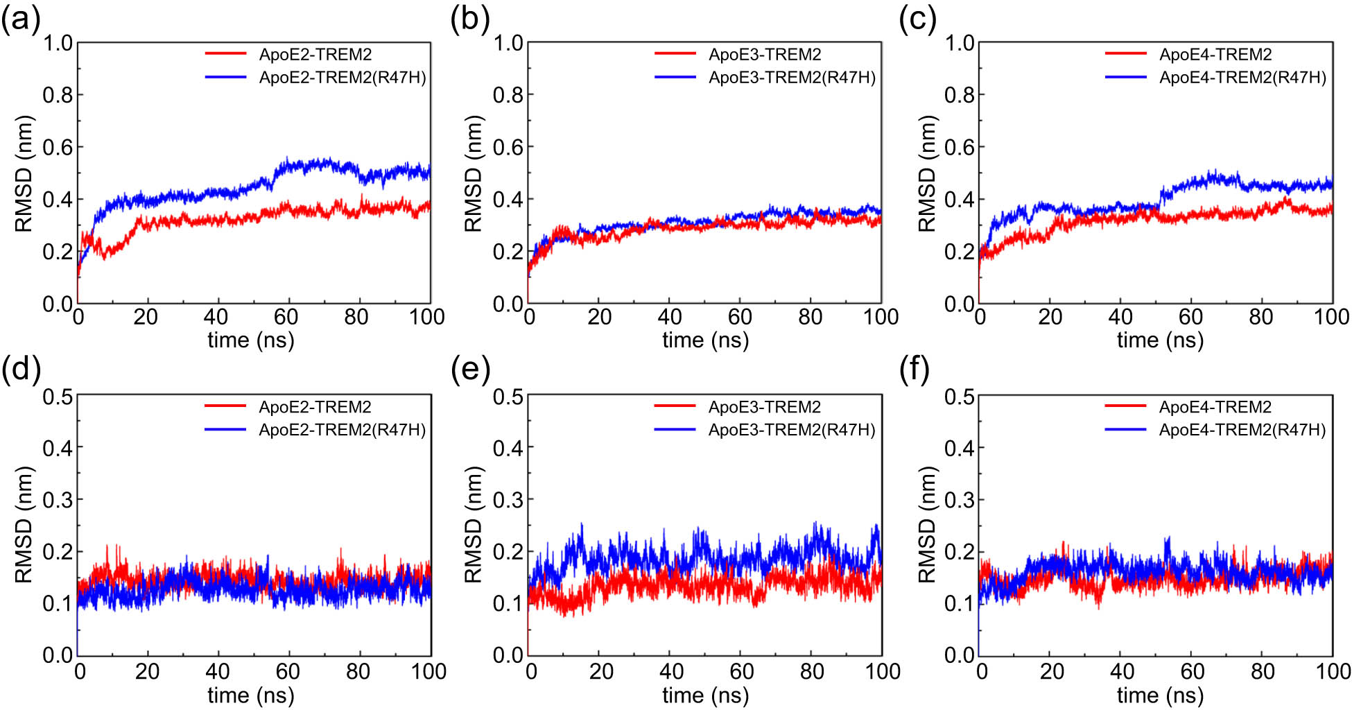Figure 2 
                  The RMSD values of the Cα atoms in the ApoE–TREM2 complex during the MD simulation. (a–c) RMSD values of the ApoE protein. (d–f) RMSD values of the TREM2 protein. The red and blue graph lines represent the ApoE–TREM2 and ApoE–TREM2 (R47H) complexes, respectively. Color scheme: red indicates ApoE–TREM2; blue indicates ApoE–TREM2 (R47H). The ordinate represents the RMSD (nm), and the abscissa represents time (ns).
               