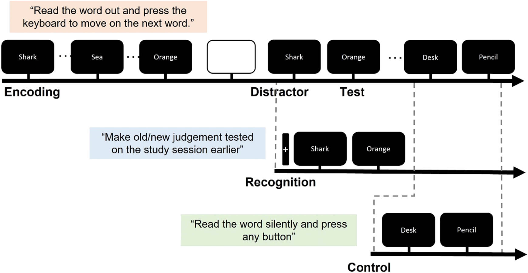 Figure 1 
                  Example of the timeline of the word recognition memory task. The task was comprised of three successive stages of encoding, distractor, and test phase. The test phase consisted of ten recognition blocks and ten control blocks presented in a randomized order, with an interval of 5,000 ms in between each block. EEG data were collected during the retrieval phase only.
               