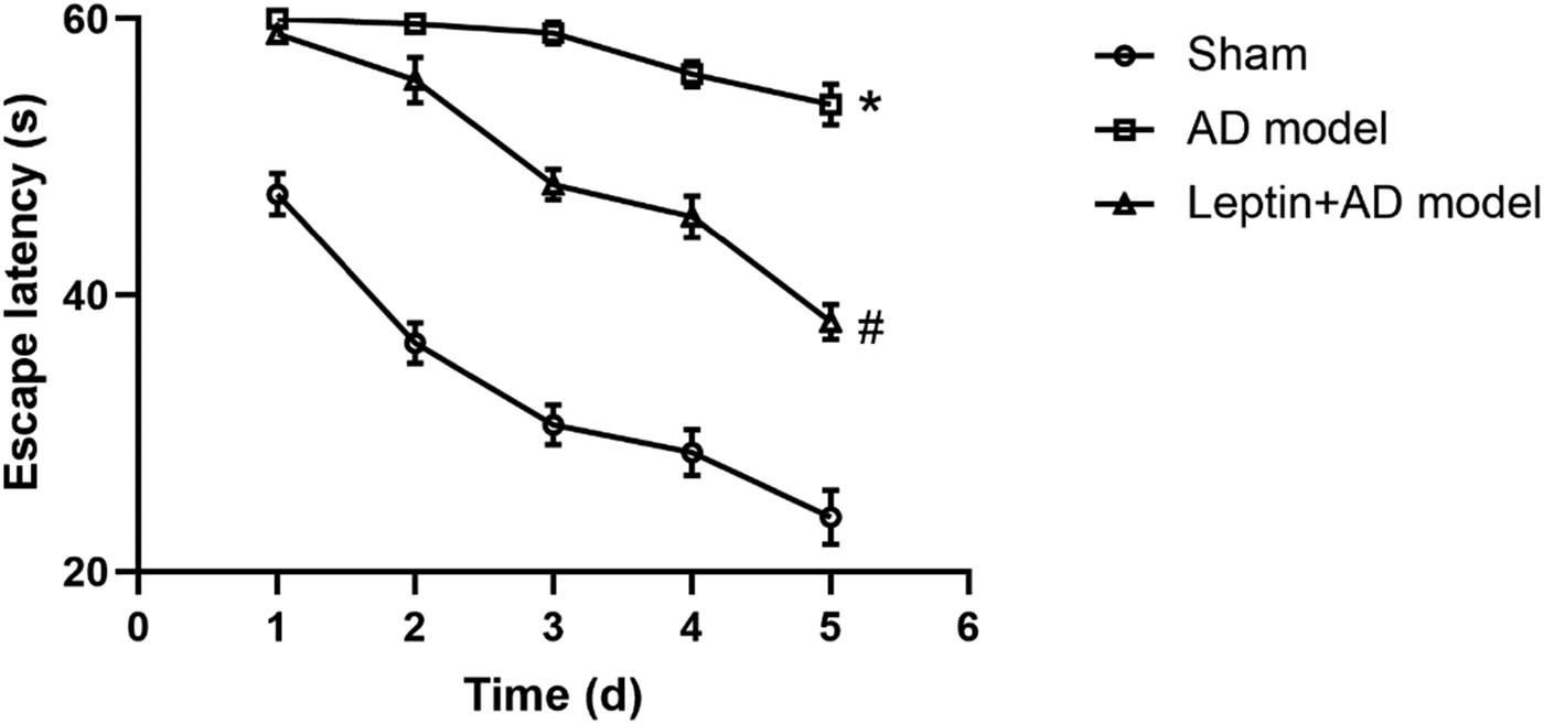 Figure 1 
                  Leptin ameliorated spatial learning impairment in AD mice. #
                     p < 0.05 vs AD model; *
                     p < 0.05 vs sham.
               