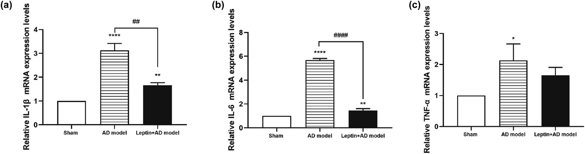 Figure 4 
                  Influence of leptin on the relative mRNA expression levels of IL-1β (a), IL-6 (b), and TNF-α (c) in the sham group, AD model group, and leptin + AD model group. #
                     p < 0.05 vs AD model; *
                     p < 0.05 vs sham.
               