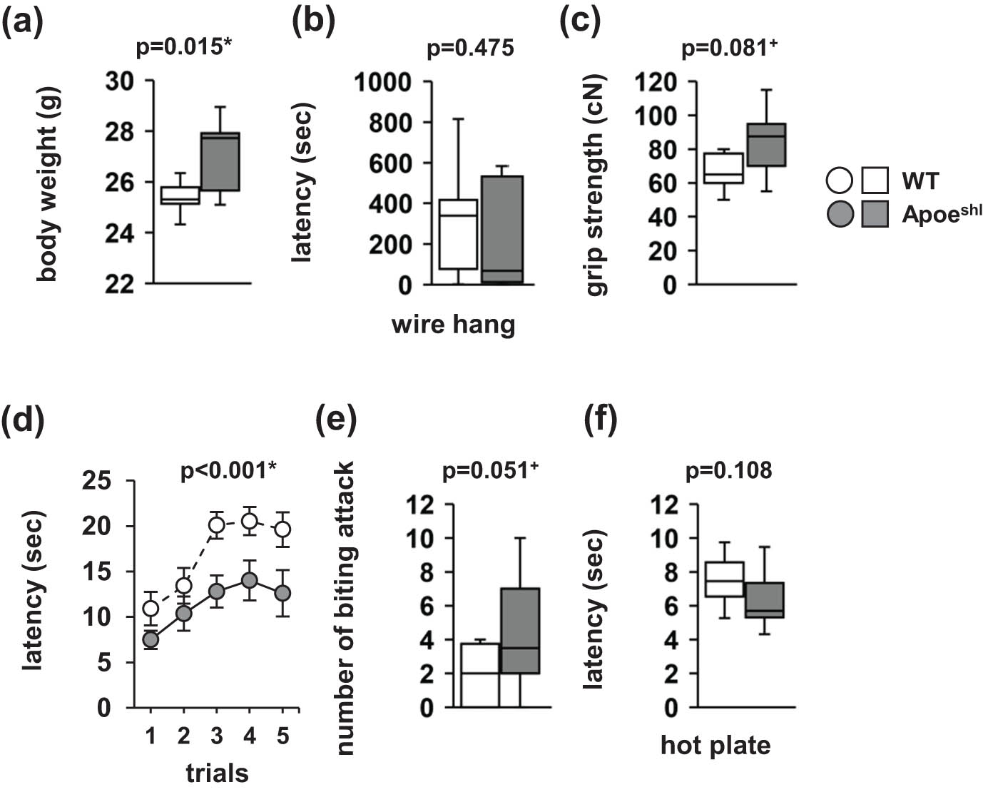 Figure 1 
                  Normal physical characteristics of Apoeshl mice. (a) Body weight. (b) Latency to fall in the wire hang test. (c) Grip strength. (d) Latency to fall in the rotarod test. (e) Number of times biting on the cotton bud. (f) Hot plate test. Data are presented as box plots (a–c, e, f) or the mean ± standard error (d). Statistical significance is indicated by asterisks: *p < 0.05, +
                     p < 0.1. The p-values were calculated using Student’s t-test (a–c, e, f) or two-way repeated-measures ANOVA (d). (a–f) Wild-type (WT): n = 10, Apoeshl: n = 10.
               