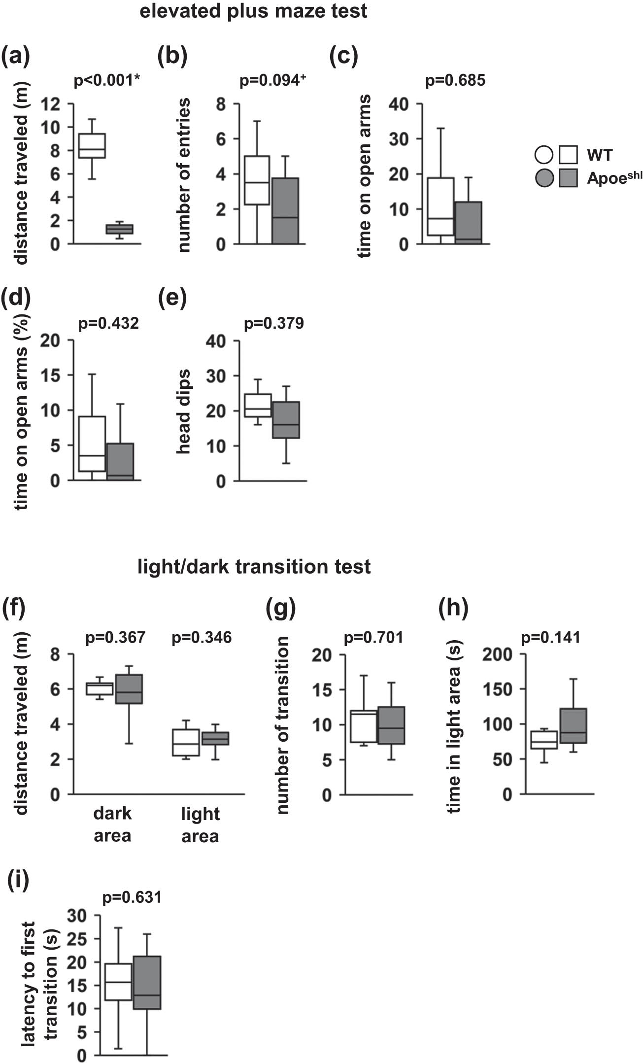 Figure 2 
                  Performance of Apoeshl mice in the elevated plus maze test. Elevated plus-maze test: total distance traveled (a), number of total entries into open arms (b), time spent in the open arms (c), percentage of open arm time (d), and head dips (e). Light/dark transition test: total distance traveled (f), number of light/dark transitions (g), time spent in the light area (h), and latency to first transition into the light area (i). Data are presented as box plots (a–i). Statistical significance is represented by asterisks: *p < 0.05, +
                     p < 0.1. The p-values were calculated using Student’s t-test (a–e and g–i) or two-way ANOVA (f). (a–i) Wild-type (WT): n = 10, Apoeshl: n = 10.
               