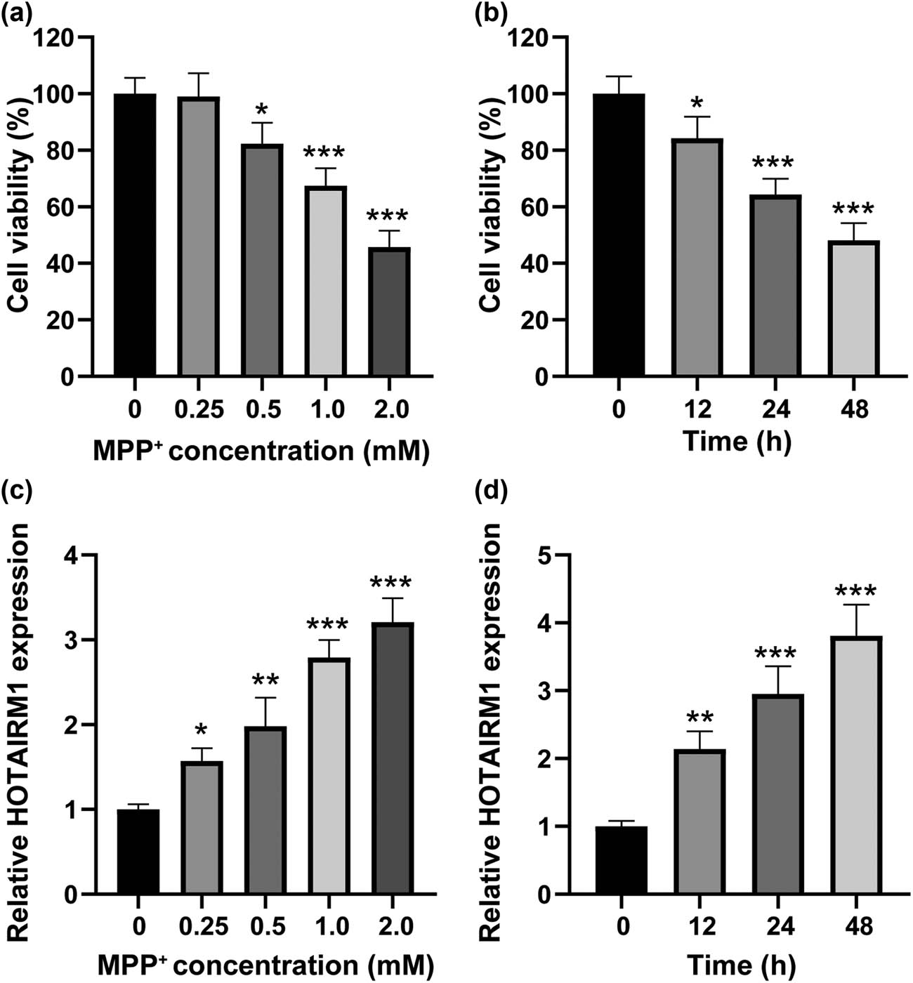 Figure 1 
                  HOTAIRM1 is overexpressed in MPP+-induced SH-SY5Y cells. (a) SH-SY5Y cells were treated with MPP+ at various concentrations (0, 0.25, 0.5, 1.0, and 2.0 mM) for 24 h and dose-dependent cytotoxicity induced by MPP+ was assessed by CCK-8 assay. (b) SH-SY5Y cells were treated with 1 mM MPP+ for 0, 12, 24, and 48 h, respectively, and time-dependent cytotoxicity induced by MPP+ was evaluated by CCK-8 assay. (c) Dose-dependent HOTAIRM1 overexpression induced by MPP+ was measured by qRT-PCR. (d) Time-dependent HOTAIRM1 overexpression induced by MPP+ was determined by qRT-PCR. *p < 0.05, ***p < 0.001.
               