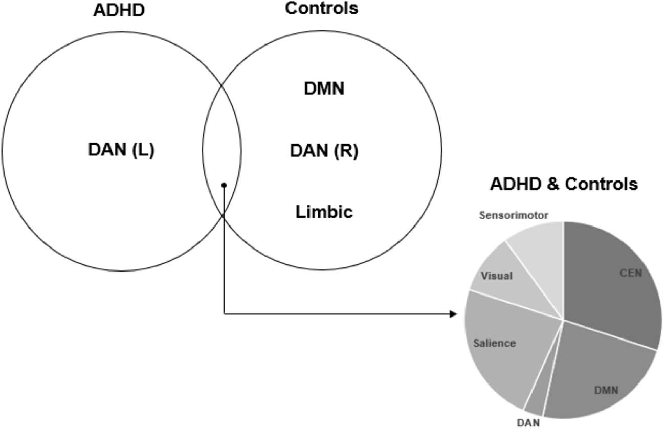 Figure 6 
               Summary of networks activated in ADHD and control subjects during the Go/No-Go paradigm.
            