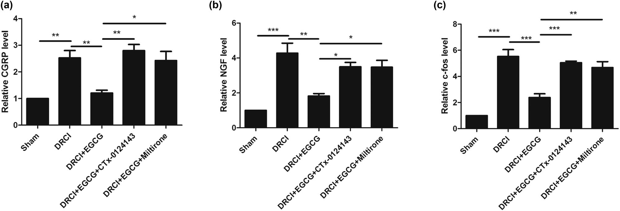 Figure 4
Effect of EGCG on neuropathic pain-related proteins in rats after DRCI. EGCG decreased the protein levels of (a) CGRP, (b) NGF, and (c) c-Fos (*p < 0.05, **p < 0.01, ***p < 0.001, n = 4, One-way ANOVA).