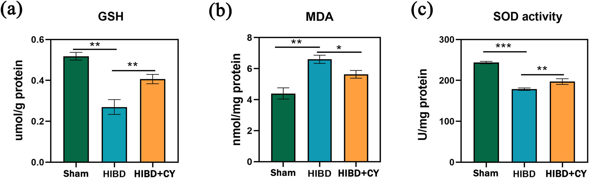 Figure 3 
                  CY suppresses lipid peroxidation and improves antioxidant capacity. (a) GSH content in the hippocampus. (b) MDA content in the hippocampus. (c) SOD content in the hippocampus. *P < 0.05; **P < 0.01; and ***P < 0.001, n = 5.
               