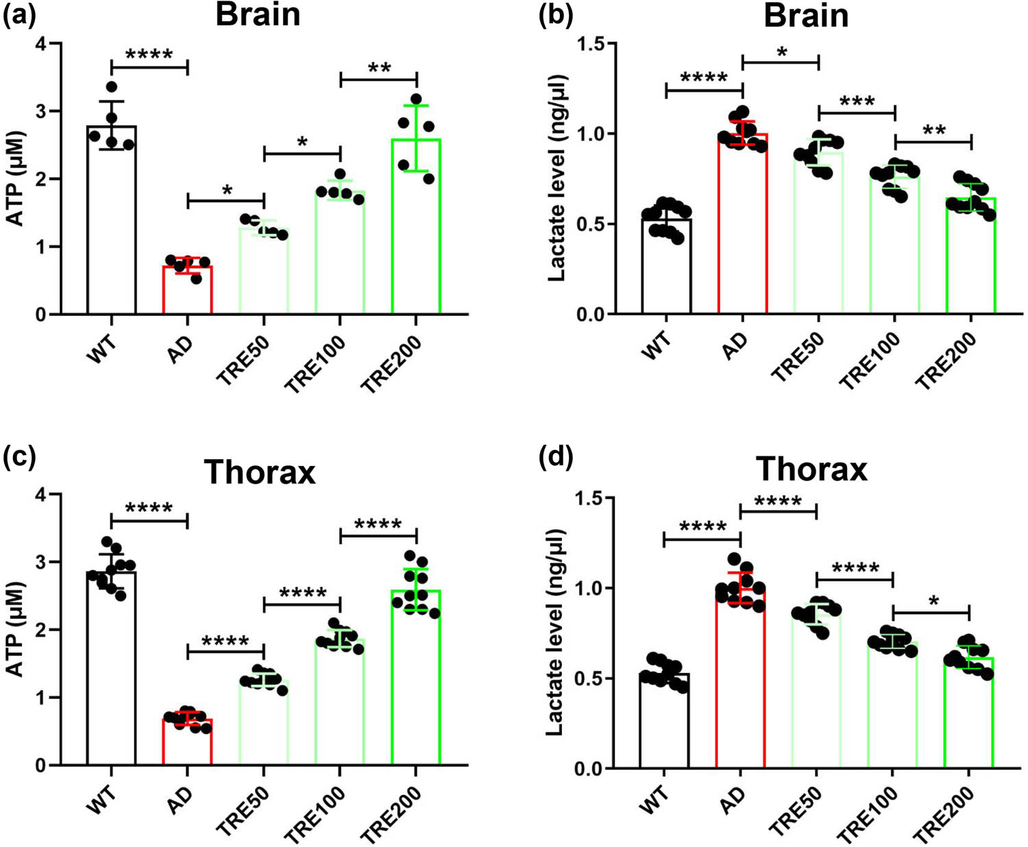 Figure 4 
                  Trehalose rescues the production of ATP and lactate in Aβarc 
                     Drosophila. (a) Measuring the content of ATP in the brain. (b) Determining the content of lactate in the brain. (c) Measuring the content of ATP in the thorax. (d) Determining the content of lactate in the thorax. WT: wild-type group; AD: Aβarc expression group; TRE50: Aβarc expression plus trehalose 50 mM treatment group; TRE100: Aβarc expression plus trehalose 100 mM treatment group; TRE200: Aβarc expression plus trehalose 200 mM treatment group. Error bars represent the SD of at least five independent experiments. *P ≤ 0.05, **P ≤ 0.01, ***P ≤ 0.005, and ****P ≤ 0.001 use a one-way ANOVA followed by Tukey’s post hoc test.
               