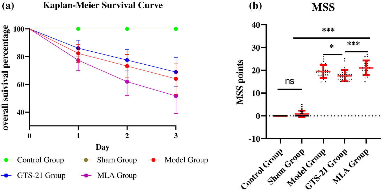 Figure 2 
                  Kaplan–Meier survival curve and MSS among different groups. (a) The Kaplan–Meier survival curve suggests that there was a significant difference in survival percentage among five groups (log rank test: χ
                     2 = 15.43, P < 0.0001); however, there was no significant difference among the model group, the GTS-21 group, and the MLA group (χ
                     2 = 1.21, P > 0.05). (b) The scatter plots of MSS show that the average MSS scores of the model group, the GTS-21 group, and the MLA group were much higher than those of rats in the control group. *P < 0.05; ***P ＜ 0.001.
               