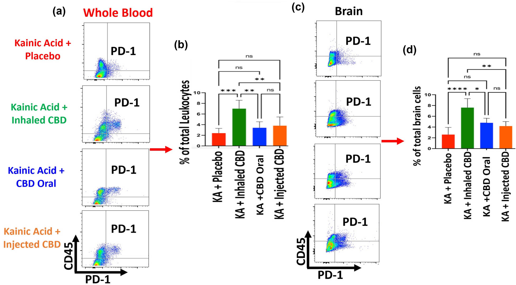Figure 6 
                     Inhalant CBD increased IC, PD-1, in KA-induced epilepsy. Flow cytometry analysis of peripheral blood demonstrated a significant elevation in circulating PD-1 level of mice in blood during epilepsy when pre-treated with inhalant CBD (***p ≤ 0.001, n = five/group). Oral form or injected form of CBD (IP) did not result in any significant increase in PD-1 (ns). (a) Whole blood flow cytometry two­dimensional dot plots of leukocytes (CD45+ cells) vs PD-1 expressing cells in the whole blood, (b) quantified bar graph of blood's level of PD-1 in all experimental groups. For brain tissues, while flow cytometry analysis showed a significant increase in brain's PD-1 in mice pre-treated with inhalant CBD (****p ≤ 0.0001, n = five/group), the IP, or oral form of CBD, did not result in any significant increases in brain's PD-1 compared to placebo group (ns). (c) Brain tissue's two-dimensional flow cytometry dot plots of microglia/macrophages (CD45+ cells) vs PD-1 expressing cells in brain tissues, and (d) quantified bar graph of brain's level of PD-1 in all experimental groups. Flow cytometry dot plots are representatives of five animals per experimental group.
                  
