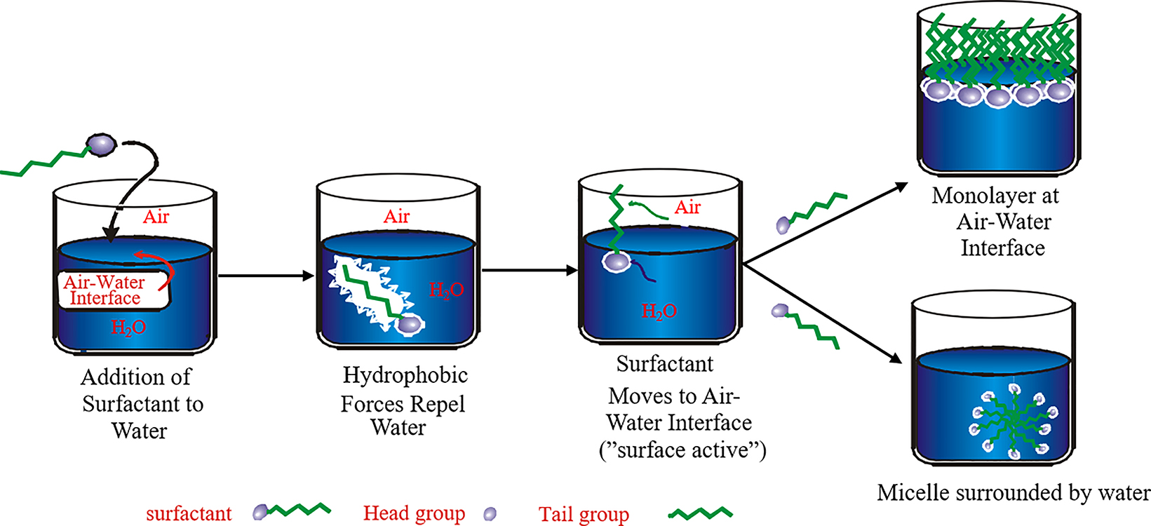 Figure 7: 
The functions of surfactants in aqueous solution.
