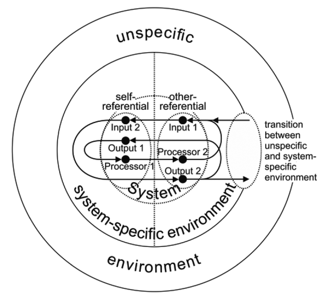 Figure 1 Double system-environment-difference and double input-output-process