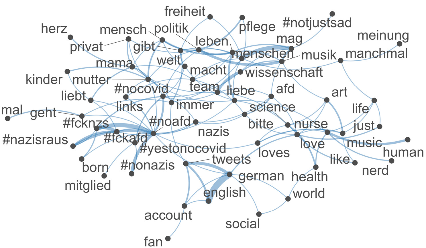 Grafik 2: Co-occurence-Netzwerk zentraler Begriffe aus den User:innen-Kurzbeschreibungen