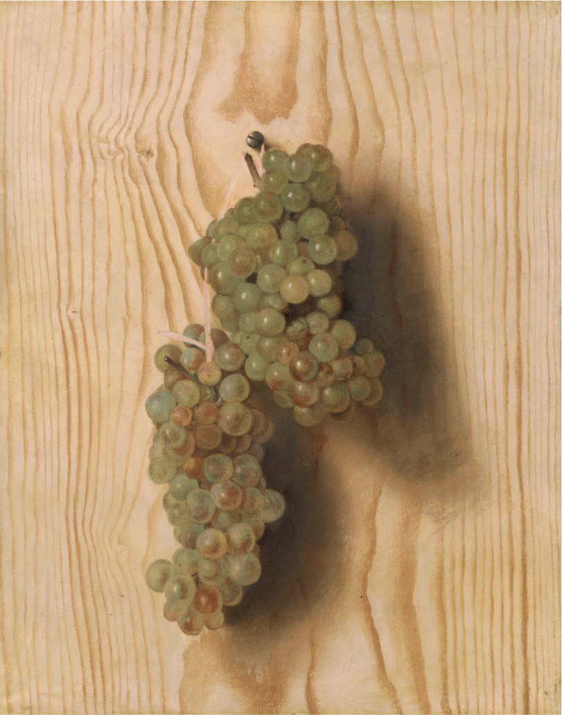 20 
Jean-Étienne Liotard, Trompe L’Œil of two Bunches of Grapes Attached to a Fir Wood Panel, 1771, pastel on vellum, mounted on canvas, 40.5 × 32 cm. Vienna, Kunsthistorisches Museum
