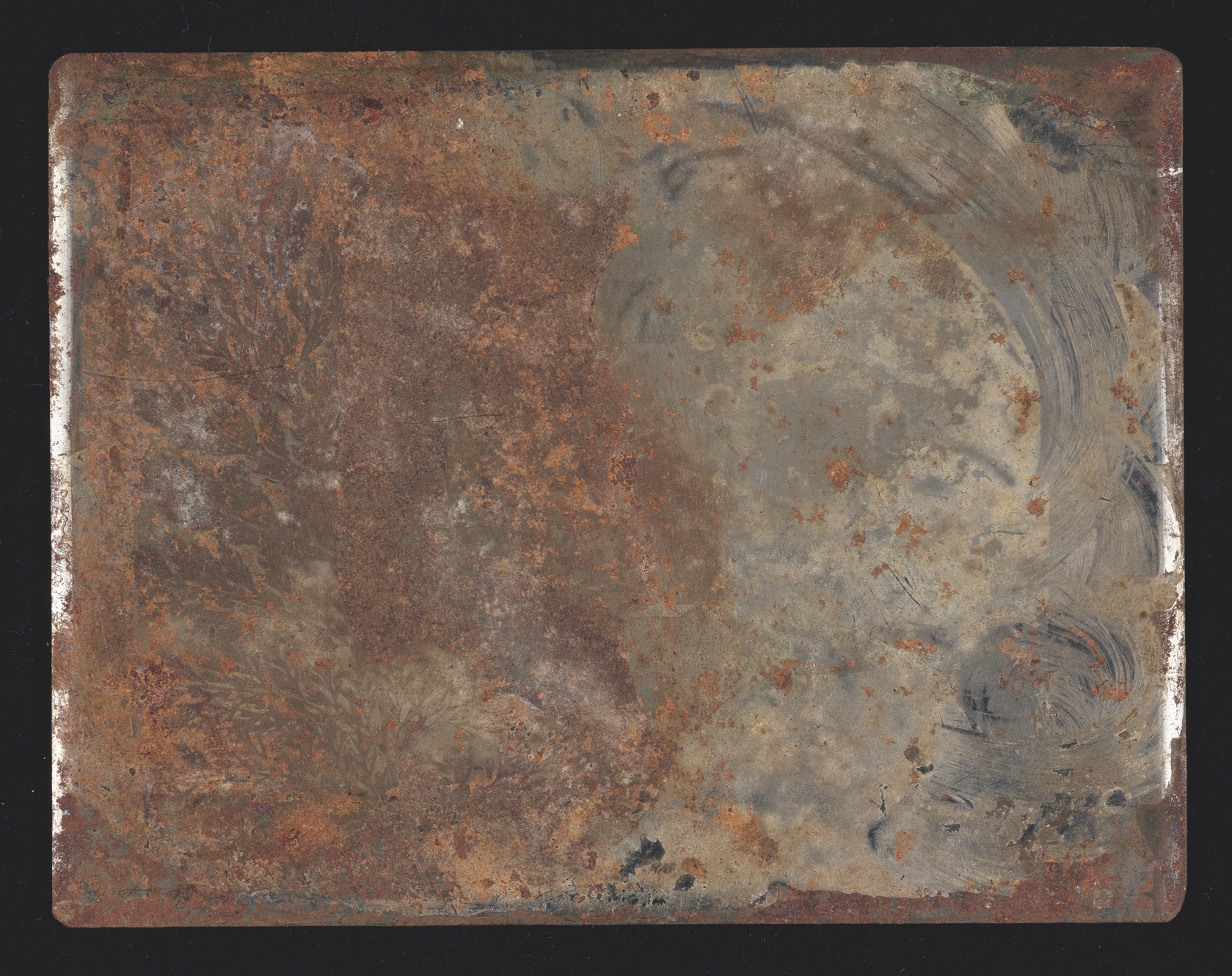 4 
William Henry Fox Talbot, Fern, ca. 1852, photographic engraving, steel plate, stamp on the verso of Hughes & Kimber, London, 10 × 13 cm. Oxford, Bodleian Libraries, MS WHF Talbot 87