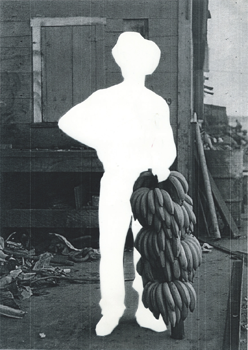 4 
Andrea Chung, Daylight Cum An’ Mi Waan Guh Home, 2008, photographic cutout, 34 × 38 cm. Collection of the artist