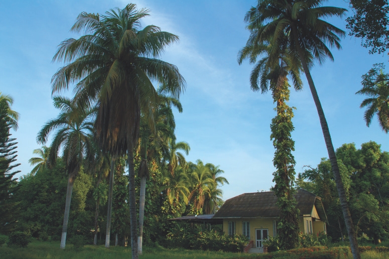 6 
Elkin Calderón, Fotografía de las instalaciones de los antiguos campamentos de la UFCO, 2014, photography, 50 × 37 cm. Collection of the artist