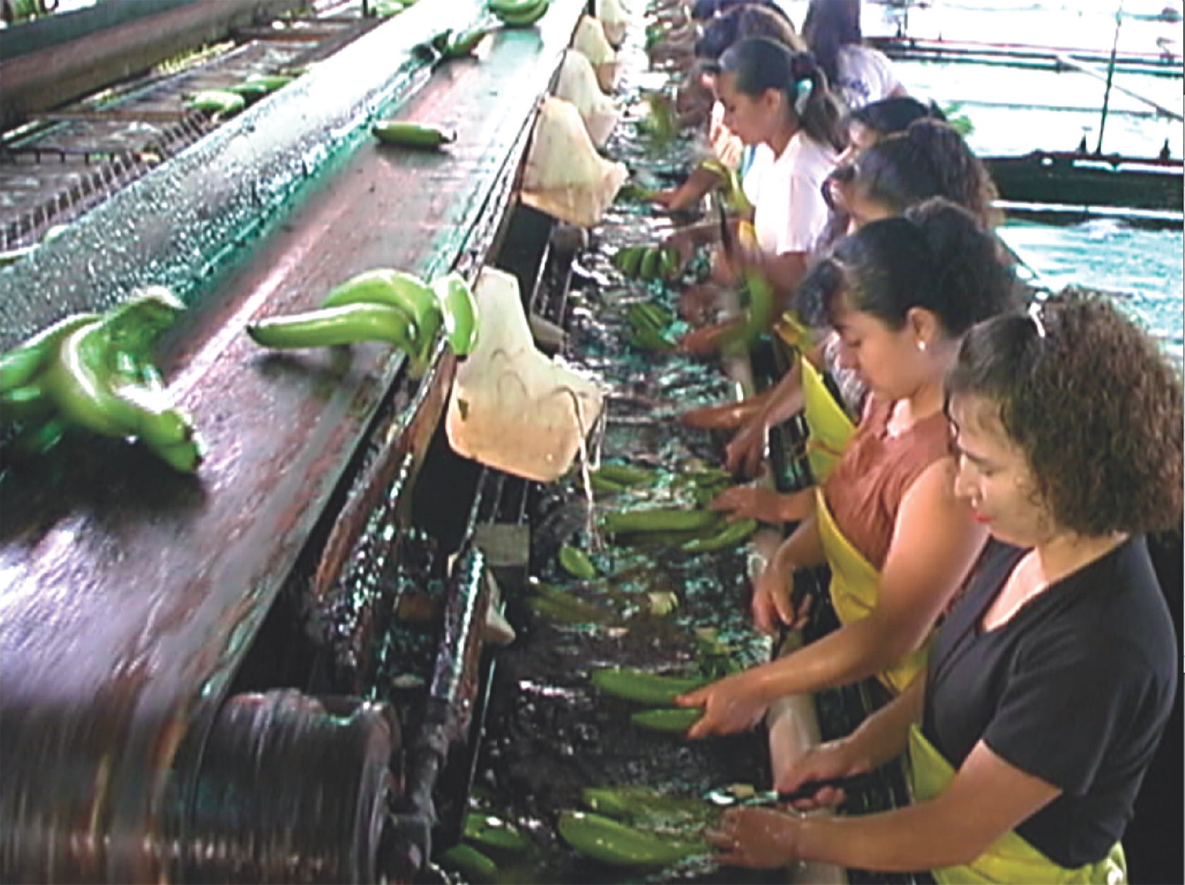 8 
Leandro Katz, Paradox, 2001, video, 30:00