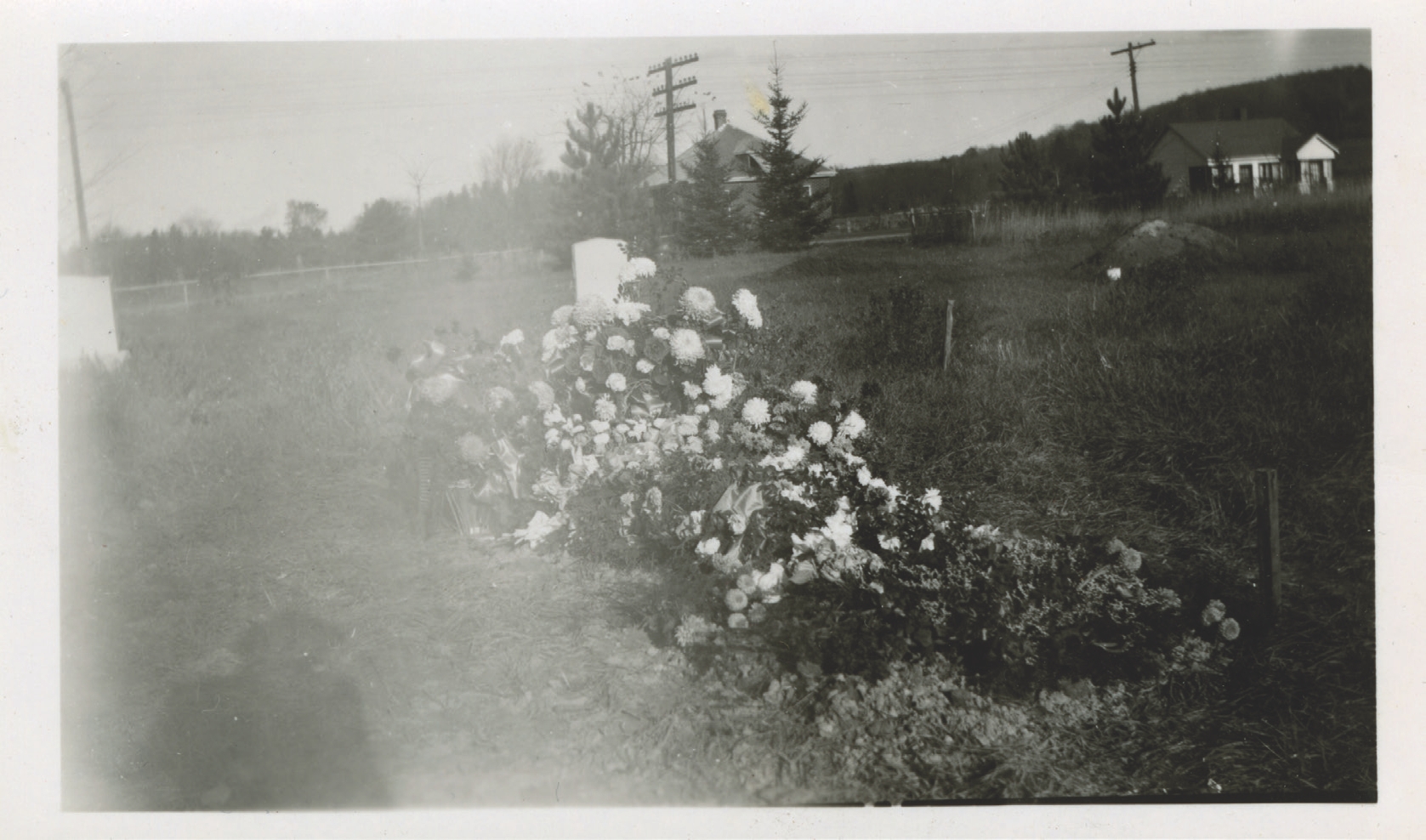 8 
A blurry image of a rural gravesite, photographer unknown, c. 1950s. Author’s personal collection