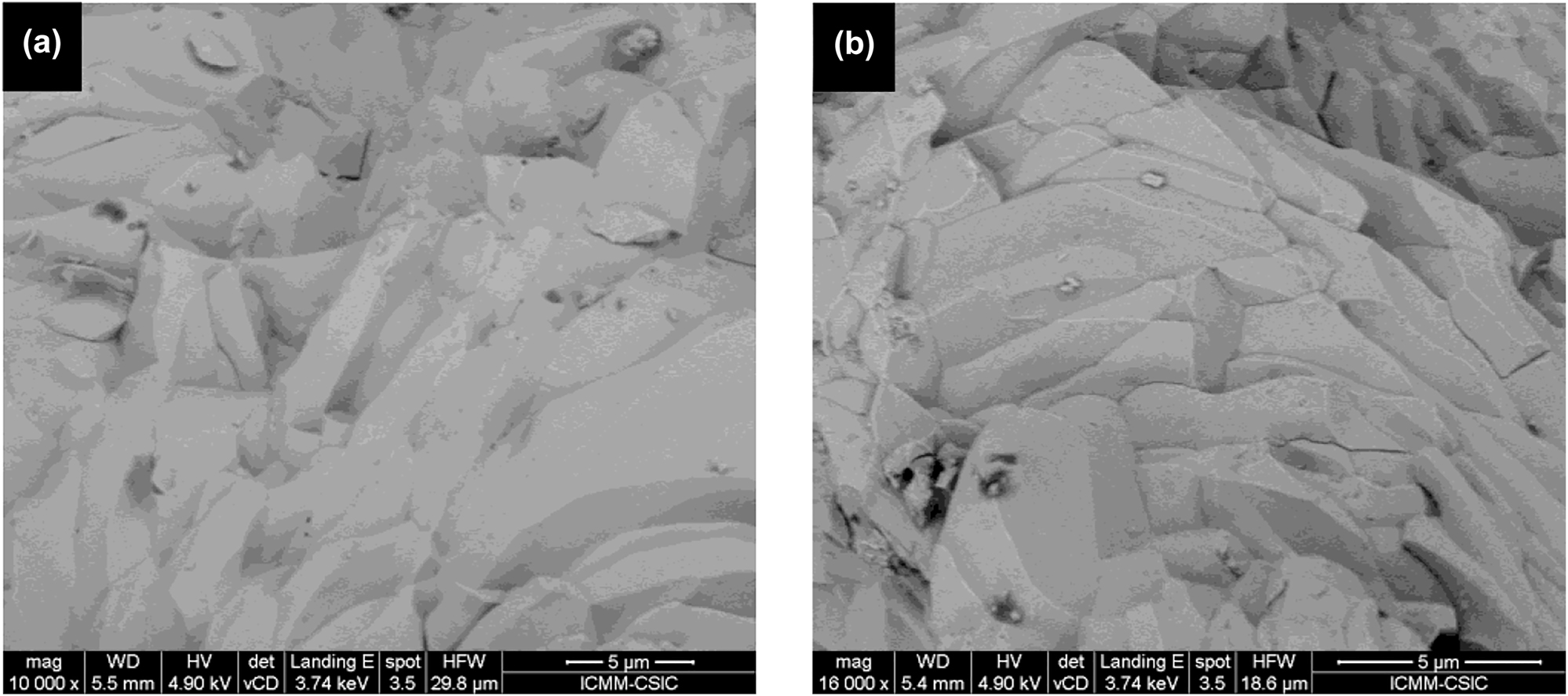 Figure 6: 
SEM micrographs of the as-grown pellets of Eu0.02(1)Co4Sb12. (a) ×10,000 and (b) ×16,000 magnification.
