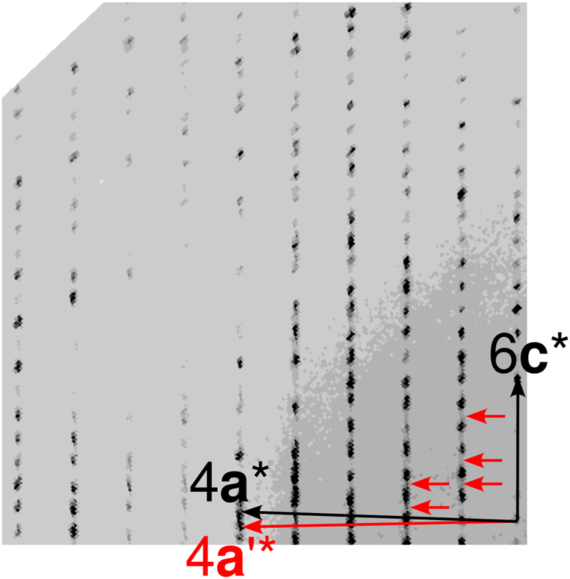 Figure 7: 
(h2l)* section of reciprocal space of the 1-nitronaphthalene twin under investigation. Multiples of reciprocal lattice basis vectors of the major domain are indicated in black, the 4a* vector of the minor domain in red.
