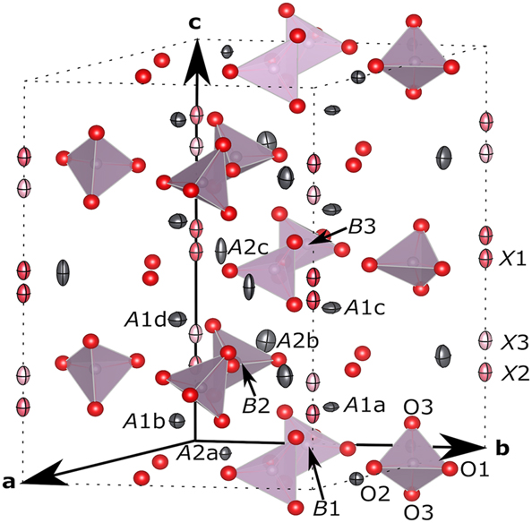 Figure 3:
Orthographic view of the
P
6
‾
$P\overline{6}$
structure with atoms in 0 ≤ x ≤ 1, 0 ≤ y ≤ 1, 0 ≤ z ≤ 1 and first neighbors of B sites in the range. Red balls: O1–O3 sites; red to pink ellipsoids on c: X sites; purple balls inside of purple tetrahedra: B sites; gray ellipsoids: A sites. All atoms, balls and ellipsoids are shown with 80 % probability. Colors of X site ellipsoids reflect difference of occupancies among those positions (thicker is larger). Figures 3–5 are all drawn with VESTA.
23
