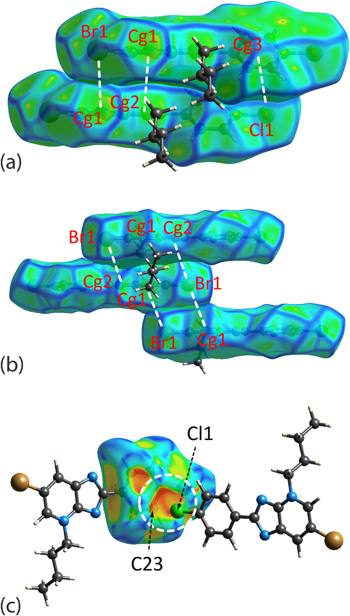 Figure 8: 
The Hirshfeld surface mapped with (a) curvedness for 2, (b) curvedness for 3 and (c) the shape index for 3, with each showing the shape complementarity between the corresponding halide atom and aromatic rings either through stacking between the planar surfaces or via a bump and crater interaction (highlighted in white dashed circle in the mapping of shape index). The property range for curvedness is within −4.0 to +4.0 arbitrary units and −1.0 to +1.0 arbitrary units for the shape index. Only the mapping for the fragments involved in the interactions are shown. Cg1 = pyridyl, Cg2 = imidazoyl and Cg3 = phenyl.
