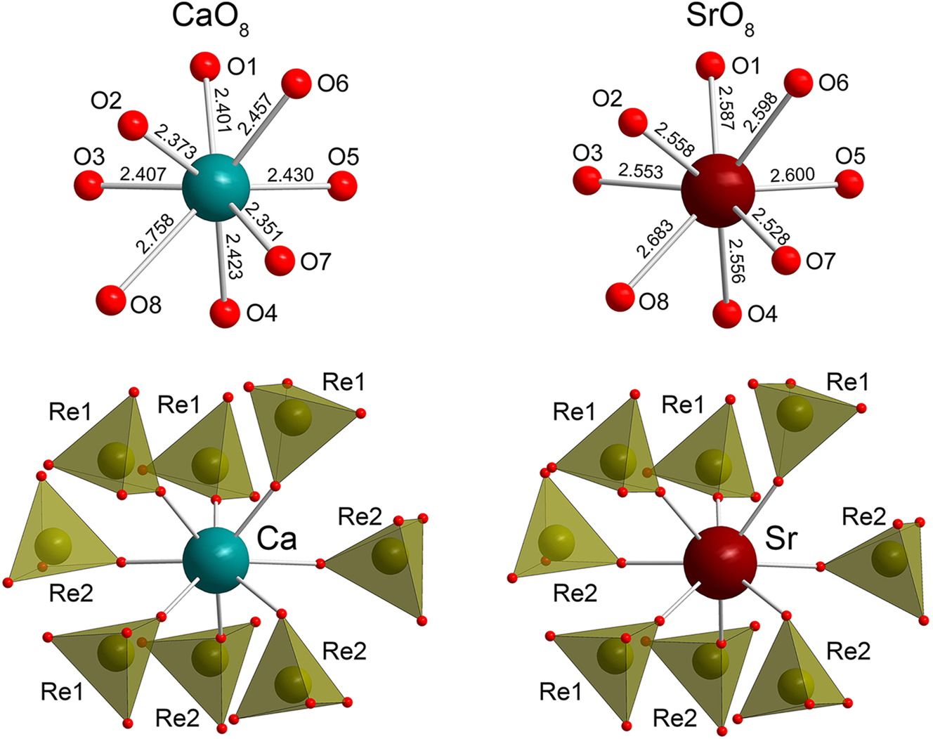Figure 2: 
Coordination environments of Ca and Sr atoms in Ca(ReO4)2 (this work) and Sr(ReO4)2 (Conrad and Schleid, 2020).

