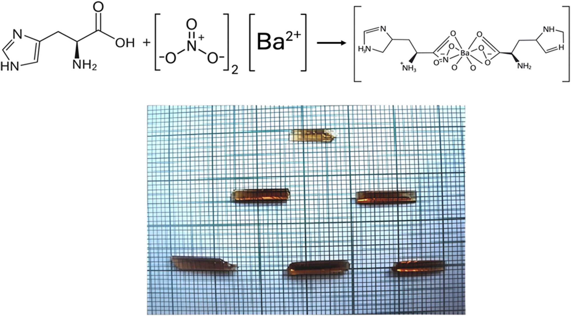 Figure 1:
Photography of LHBN.