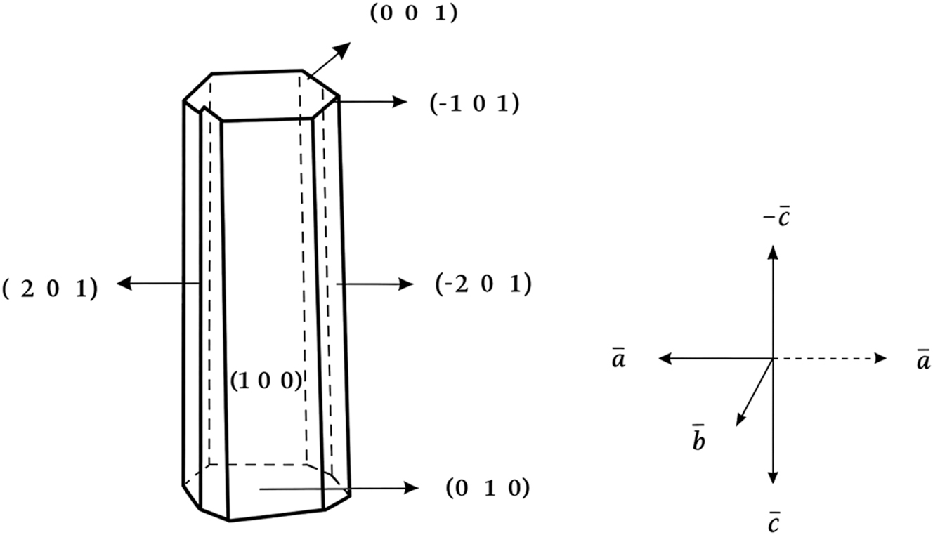 Figure 3:
Morphology of LHBN.