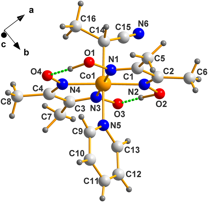 Figure 5: 
Molecular structure of the enantiomorphic version (IV), C14 is R as evident from the ranking Co>C15>C16. Exactly where the hydrogens between O1–O4 and O2–O3 belong is speculative, to say the least; they are depicted where reported.
