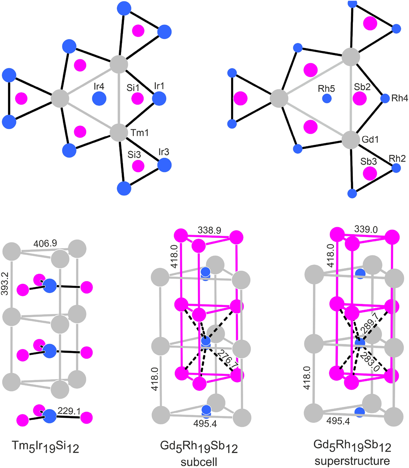 Figure 4: 
Comparison of the Tm5Ir19Si12 and Gd5Rh19Sb12 structures. Thulium (gadolinium), iridium (rhodium) and silicon (antimony) atoms are drawn as medium grey, blue and magenta circles, respectively. The trigonal prismatic building units around the origins of the unit cells are shown as projections onto the ab planes in the upper part. The lower part shows the local trigonal prismatic coordination in the strands that extend in c direction. Atom designations and relevant interatomic distances are given.
