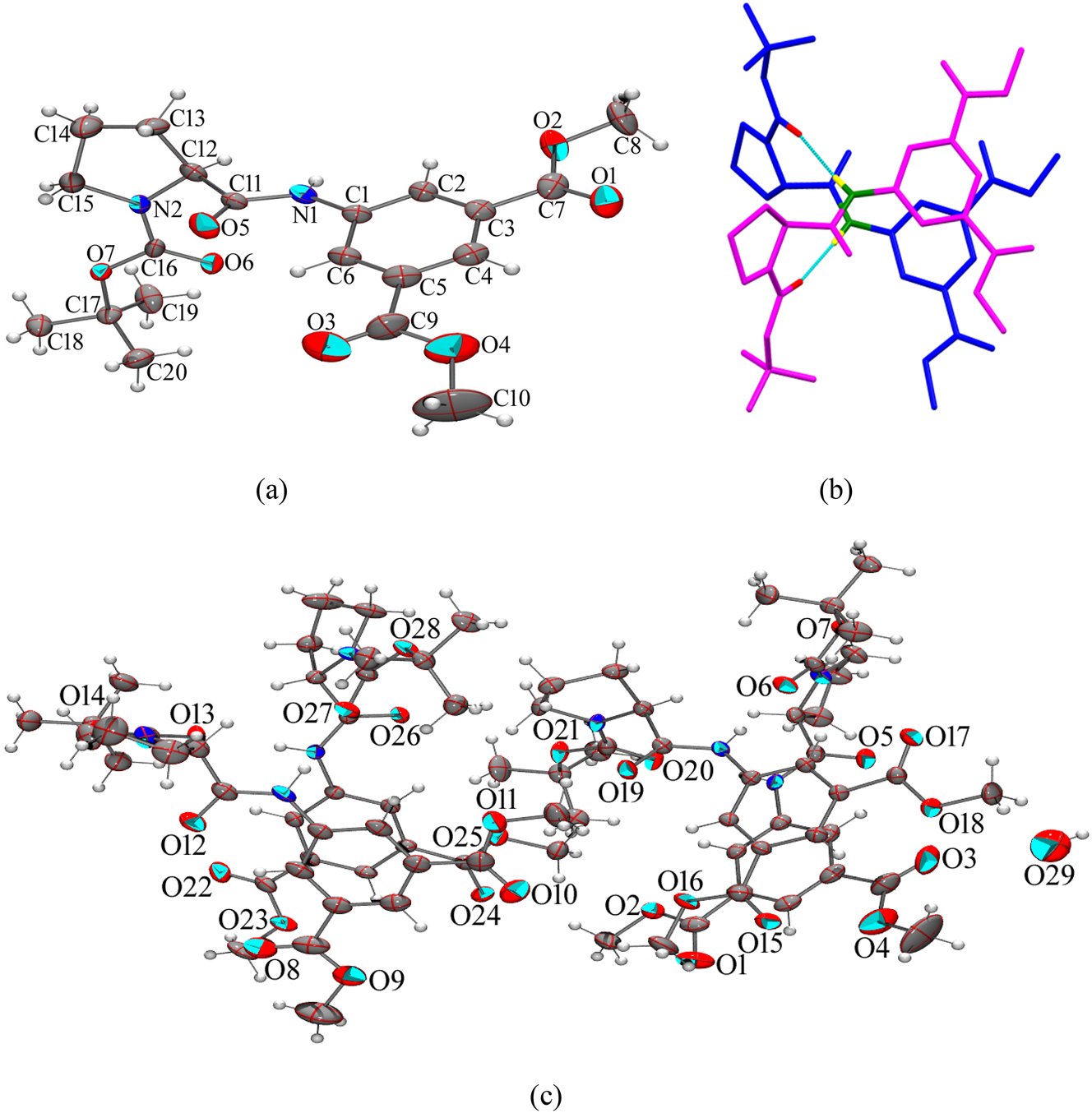 Figure 2: 
The single crystal stucture of the hybrid peptide 1. (a) ORTEP diagram of the single molecule of 1 drawn of 30 % probability, (b) two molecules are arranged in anti-parallel criss-cross pattern (H atoms are omitted for clarity) forming a robust dimer, and (c) asymmetric unit with ellipsoid drawn of 30 % probability consist of two dimers and a water molecule.
